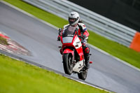 PJ-Motorsport-2019;anglesey;brands-hatch;cadwell-park;croft;donington-park;enduro-digital-images;event-digital-images;eventdigitalimages;mallory;no-limits;oulton-park;peter-wileman-photography;racing-digital-images;silverstone;snetterton;trackday-digital-images;trackday-photos;vmcc-banbury-run;welsh-2-day-enduro